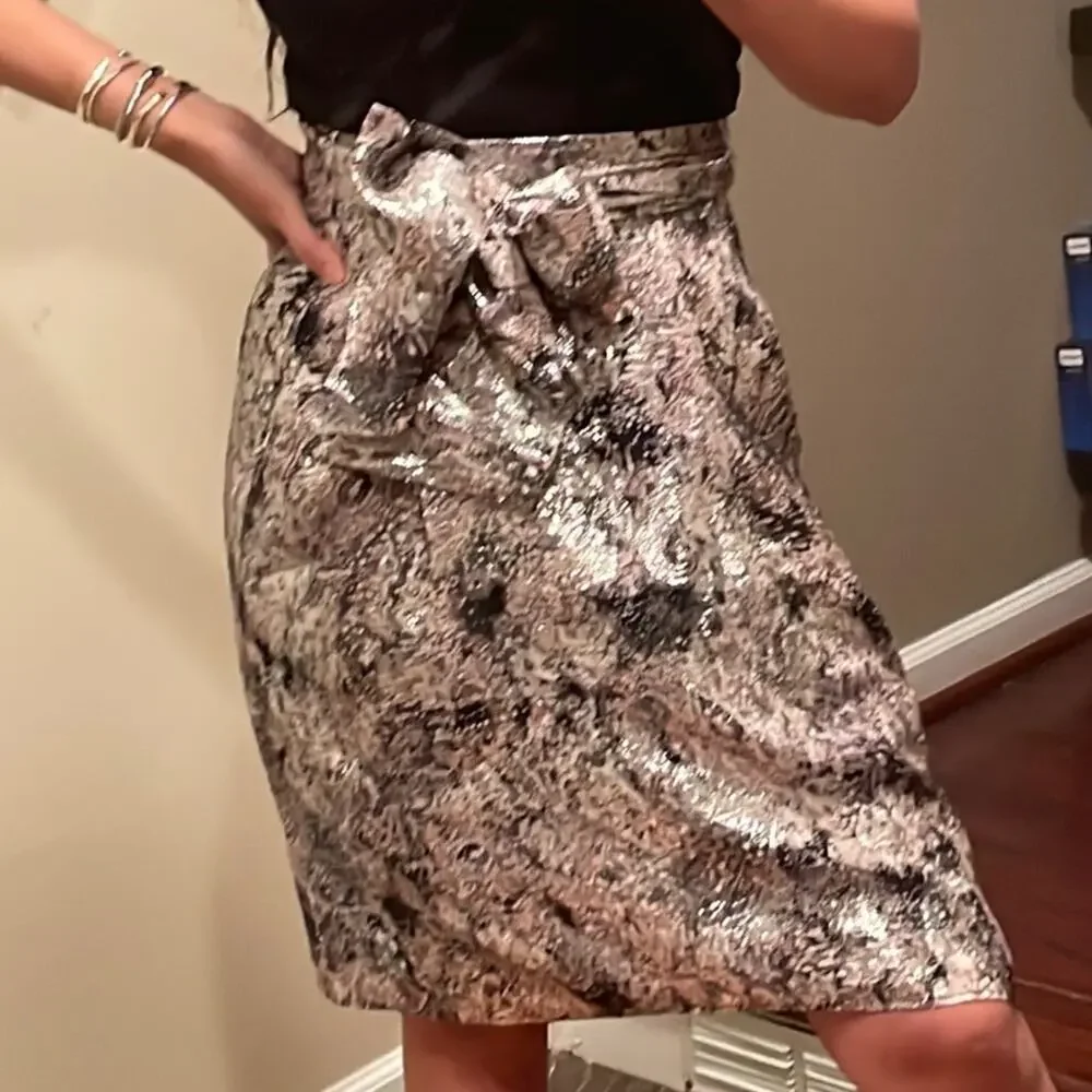 IRO Metallic Grey Skirt NWT Bow Sash Size 36 (4/Small)
